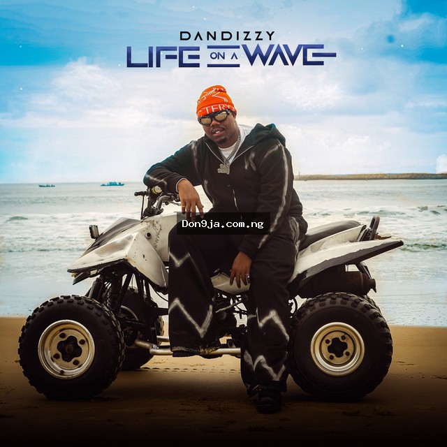 I.n.e.f.a cover art