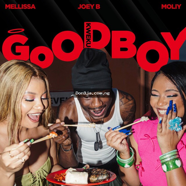 Goodboy cover art