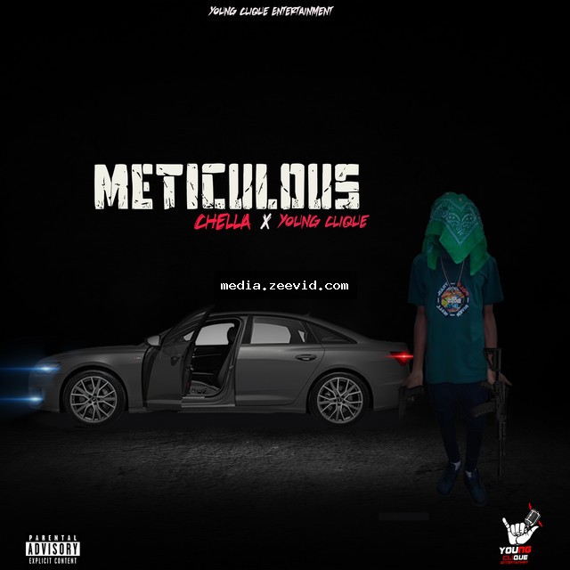 Meticulous - cover art