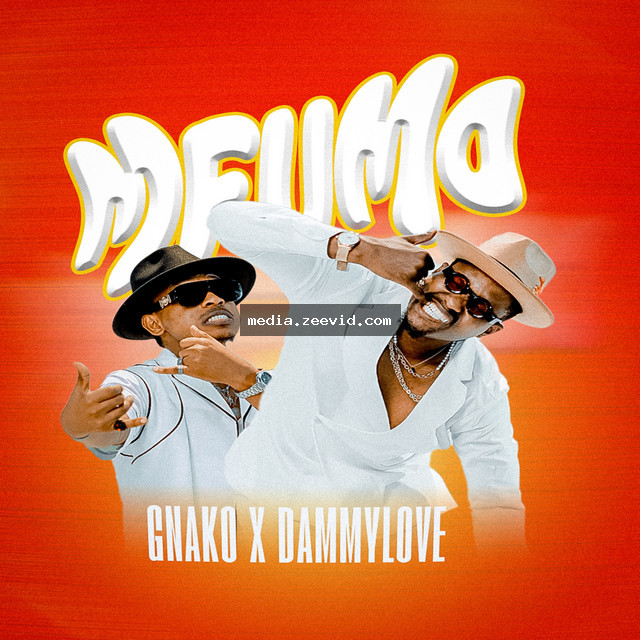 Mfumo - cover art