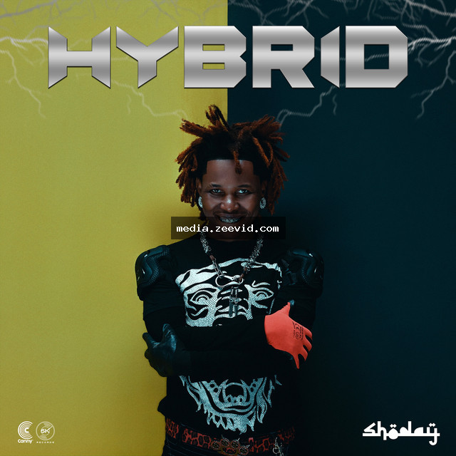 Halle - cover art