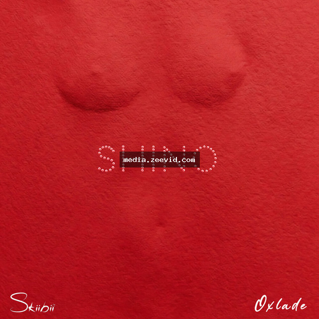Shino cover art