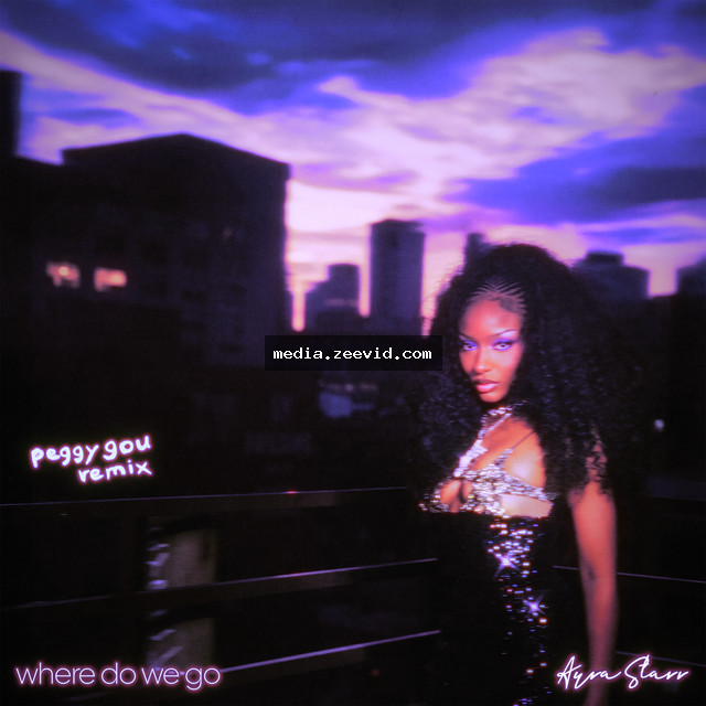 Where Do We Go - Remix - cover art