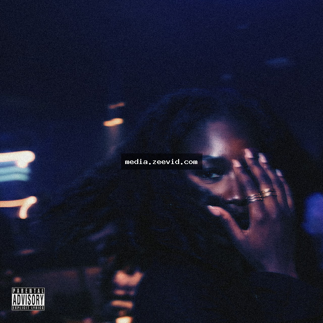 Fine Ting (Fine $hit) cover art