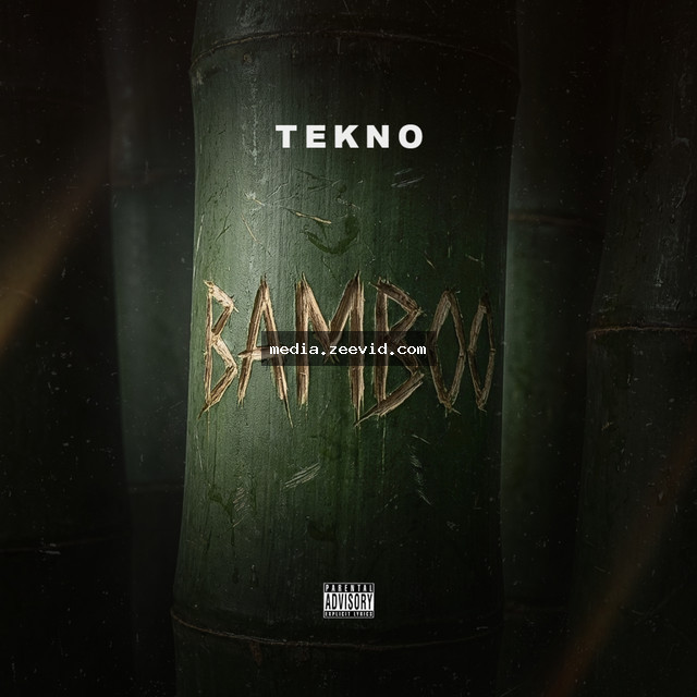 Bamboo cover art
