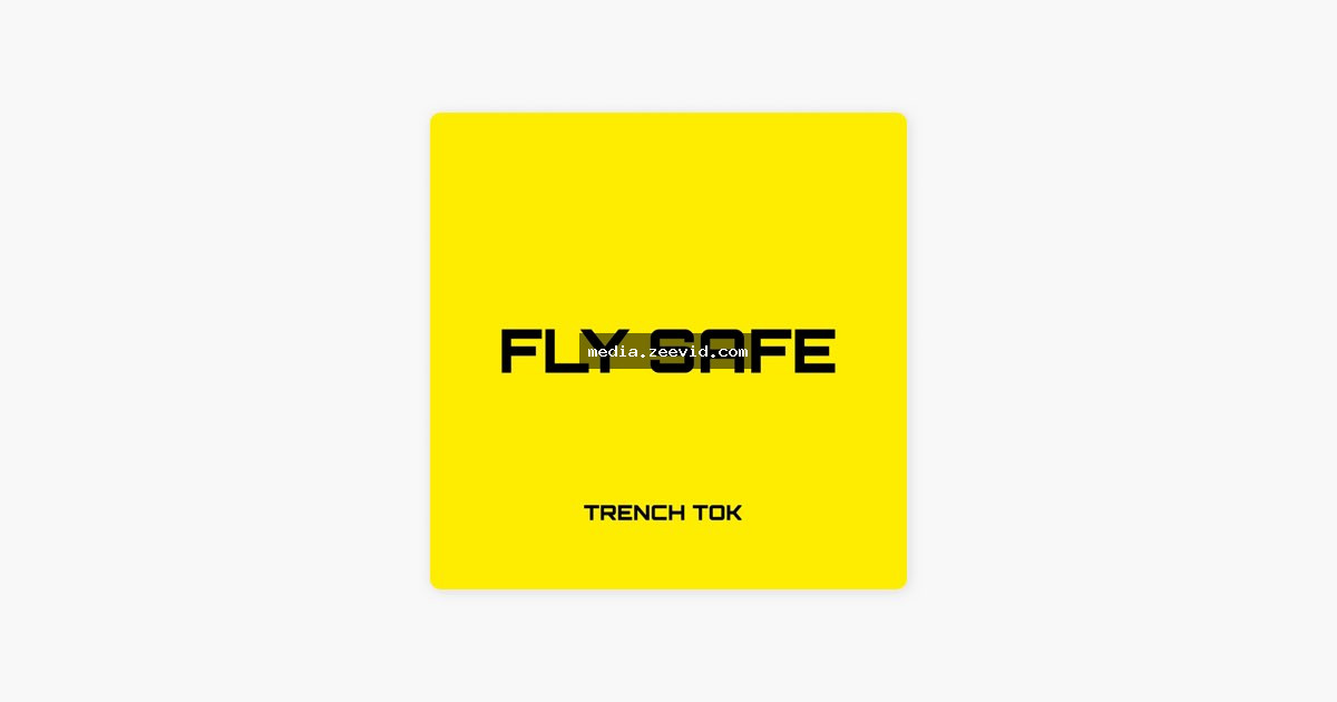 Fly Safe cover art