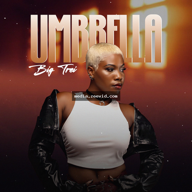 Umbrella - cover art
