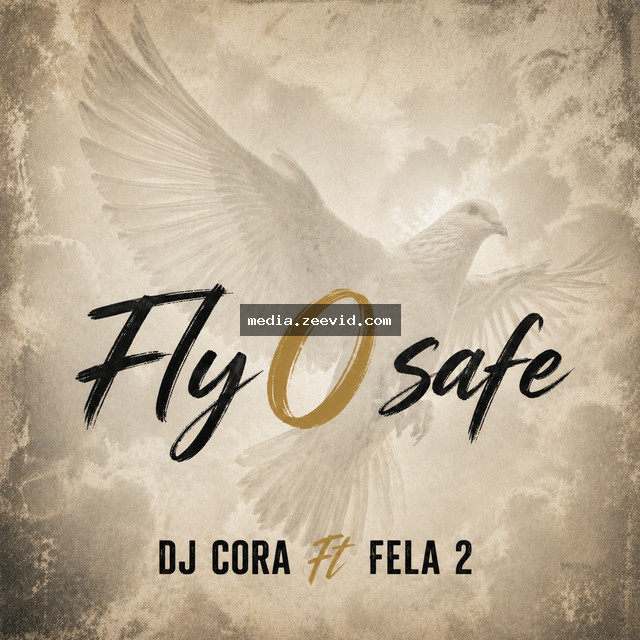Fly O Safe cover art