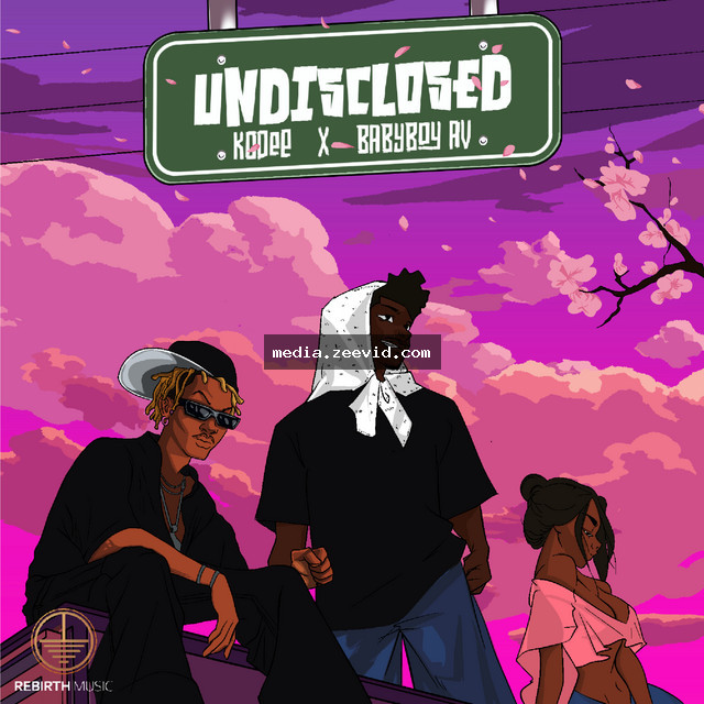 Undisclosed cover art