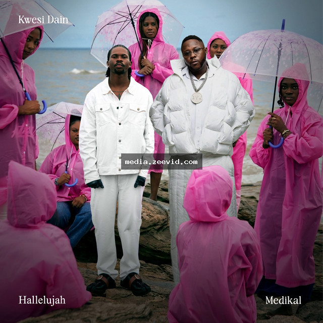 Hallelujah cover art