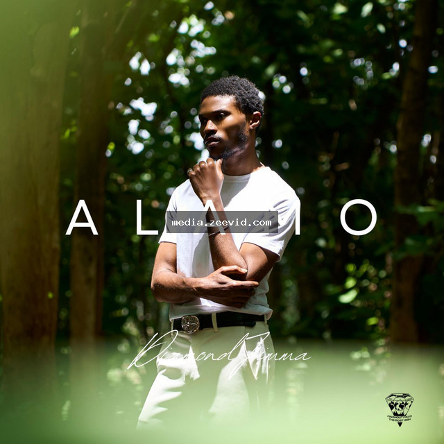 Alamo - cover art