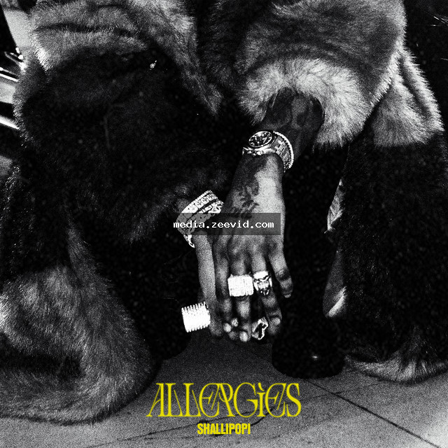 Allergies cover art