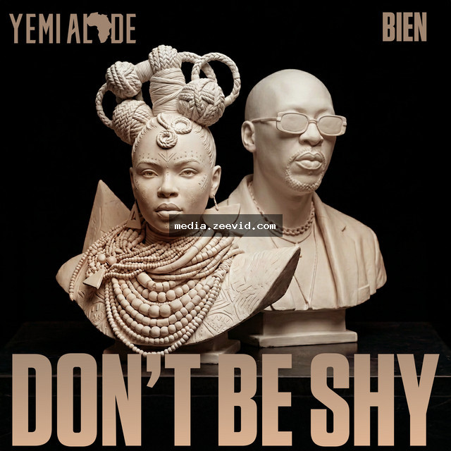 Donâ€™t Be Shy - cover art