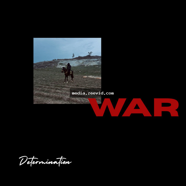 War cover art