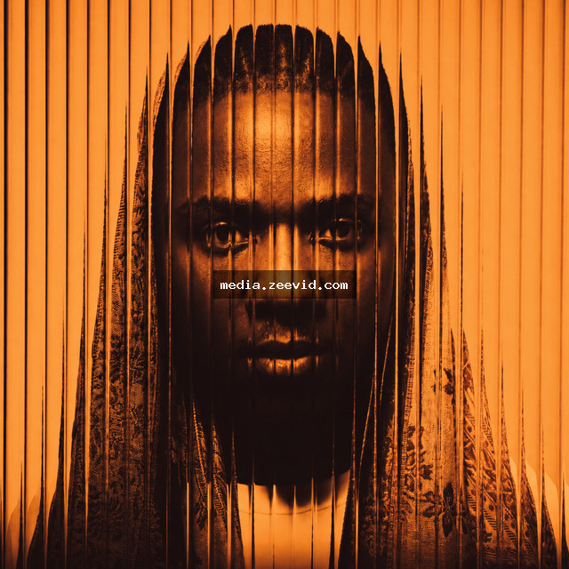Skeleton cover art