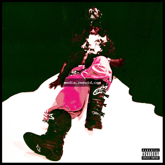 Who Born The Maga - cover art
