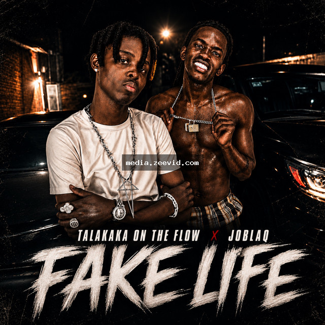 Fake Life - cover art