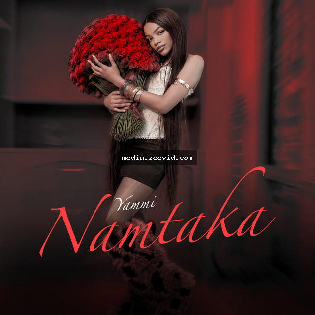 Namtaka - cover art