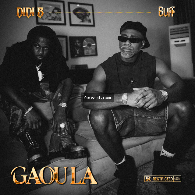 Gaou La cover art