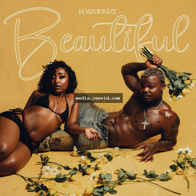Beautiful cover art