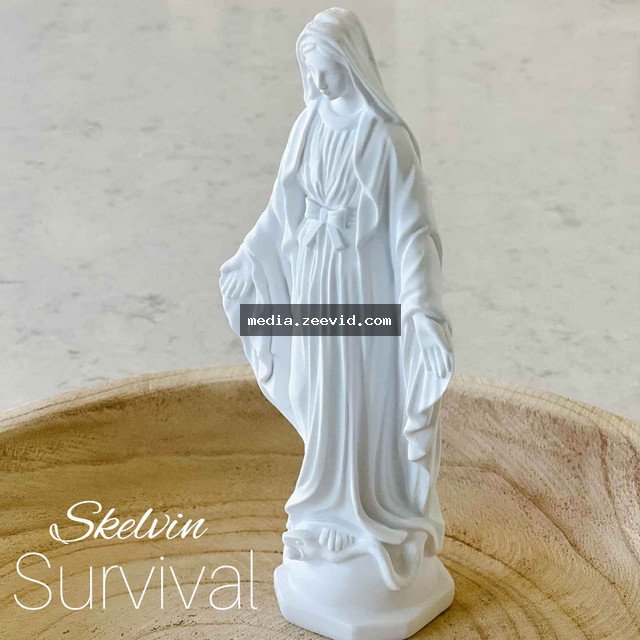 Survival - cover art