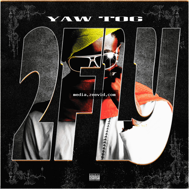 2fly cover art